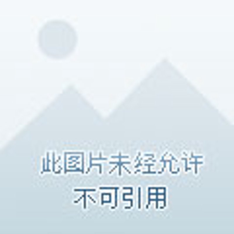 信息服务公司的经营范围广泛，涵盖了多个领域。那么，这些公司具体可以从事哪些业务呢？让我们一起看看。